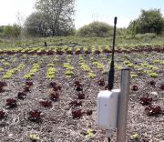 IRRIGATIONbis