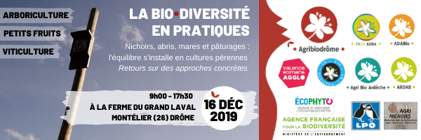 Bandeau-PNG-Journee-LA-BIO-EN-PRATIQUES