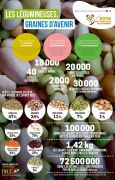 infographie