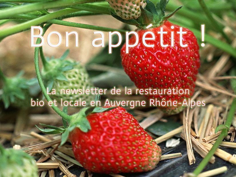photo-fraise3
